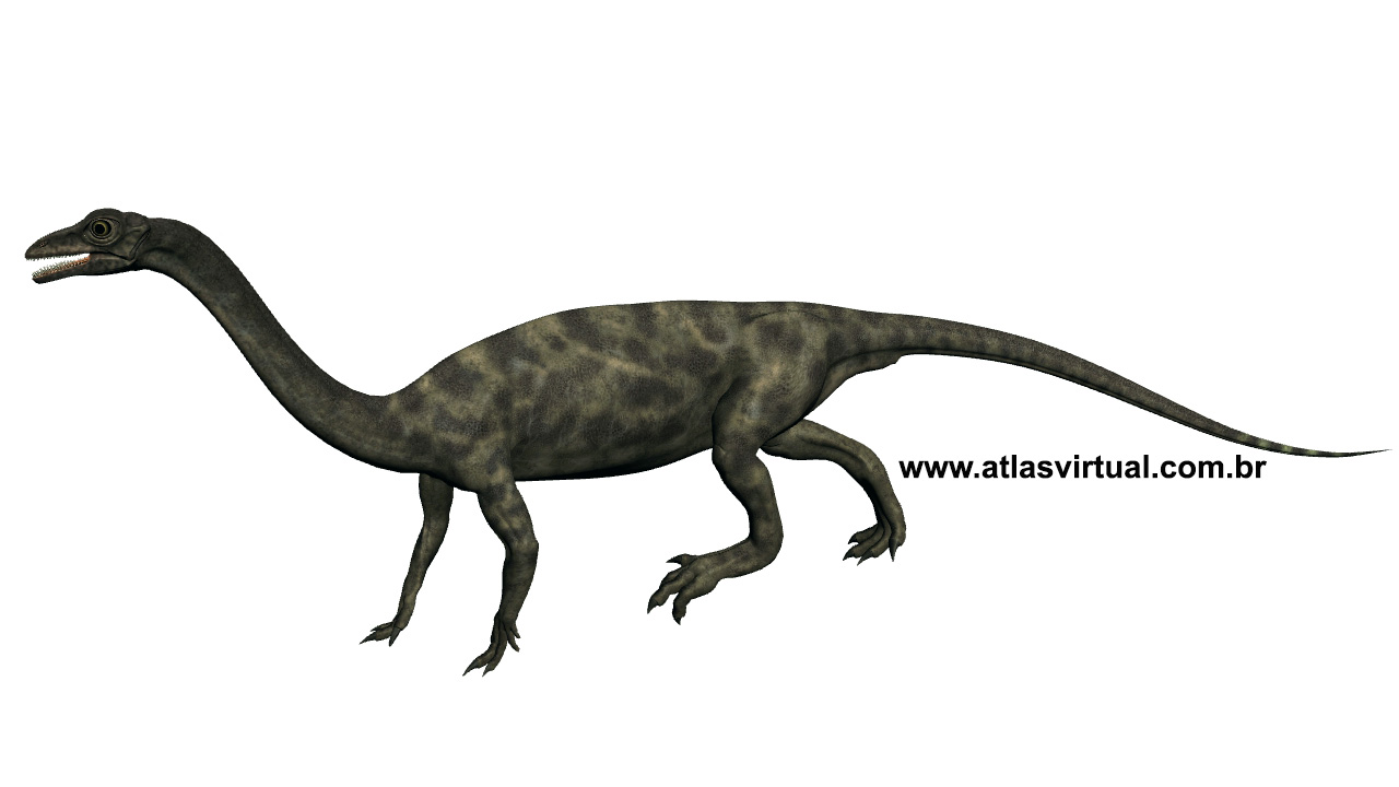 Itaguyra Itaguyra - AVPH