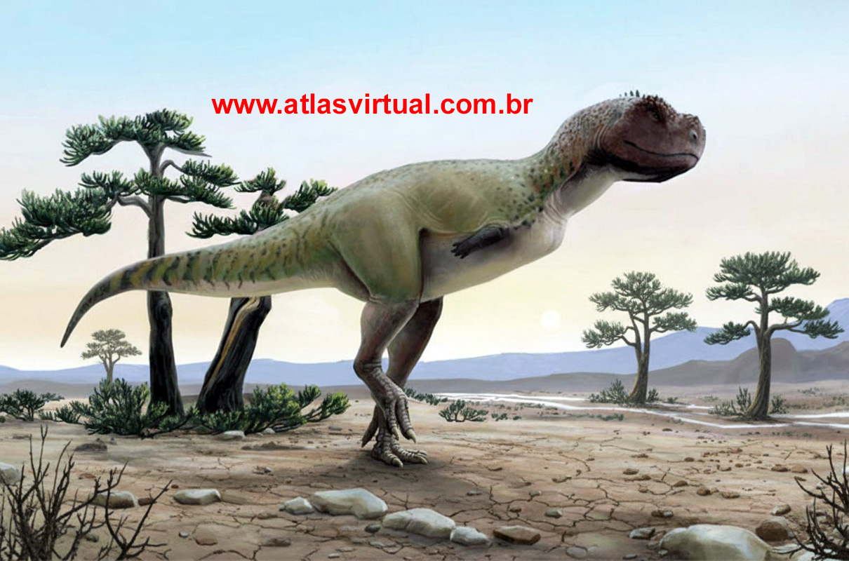 Kurupi itaata Kurupi itaata - AVPH