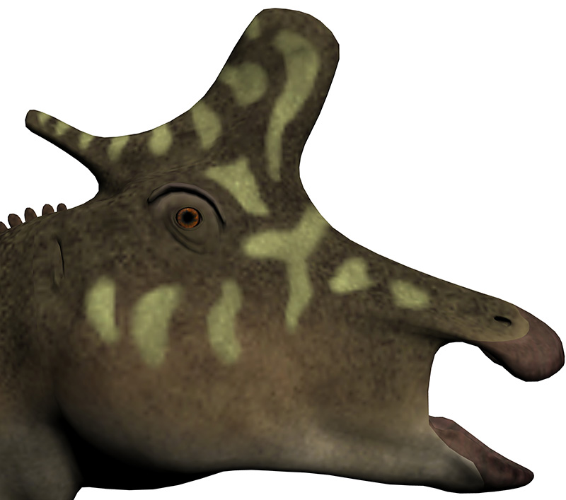 Lambeosaurus lambei Lambeosaurus lambei - AVPH