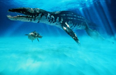 Liopleurodon ferox Liopleurodon ferox - AVPH