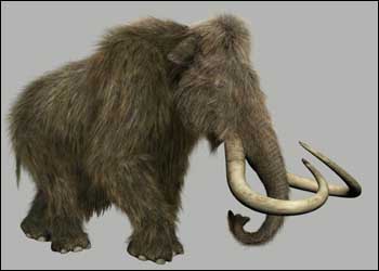 Mammuthus primigenius Mamute lanoso - AVPH