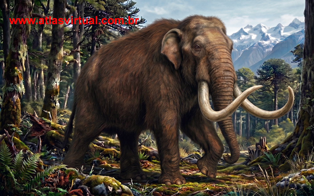 Notiomastodon platensis - AVPH