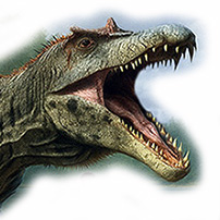 Oxalaia quilombesis - AVPH