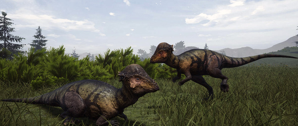 Pachycephalosaurus wyomingensis Pachycephalosaurus wyomingensis - AVPH