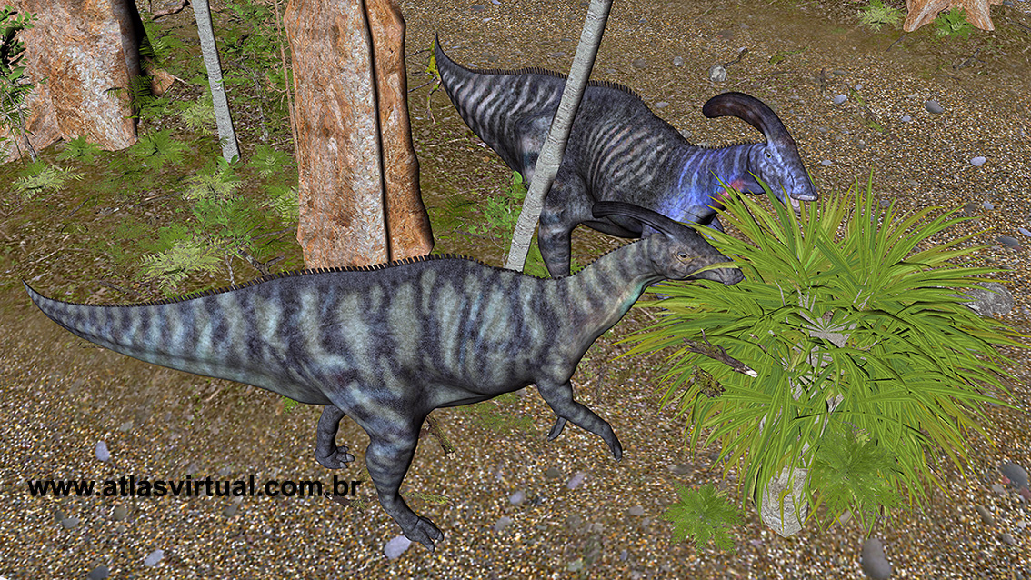 Parasaurolophus walkeri Parasaurolophus walkeri - AVPH