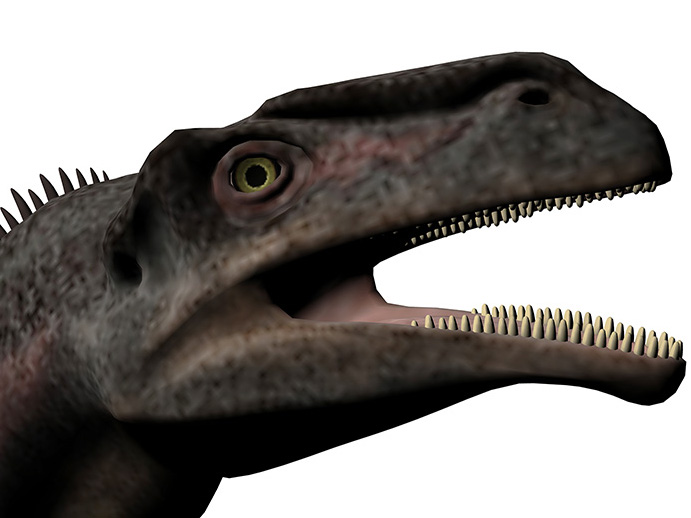 Plateosaurus trossingensis Plateosaurus trossingensis - AVPH