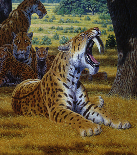Tigre Dentes de Sabre - AVPH