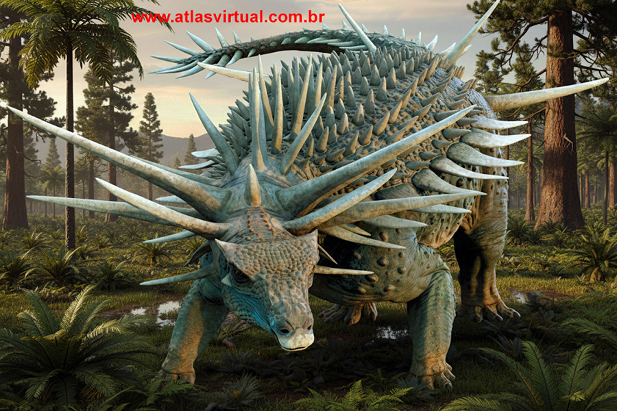 Spicomellus afer Spicomellus afer - AVPH