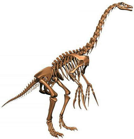 Therizinosaurus cheloniformis Therizinosaurus cheloniformis - AVPH