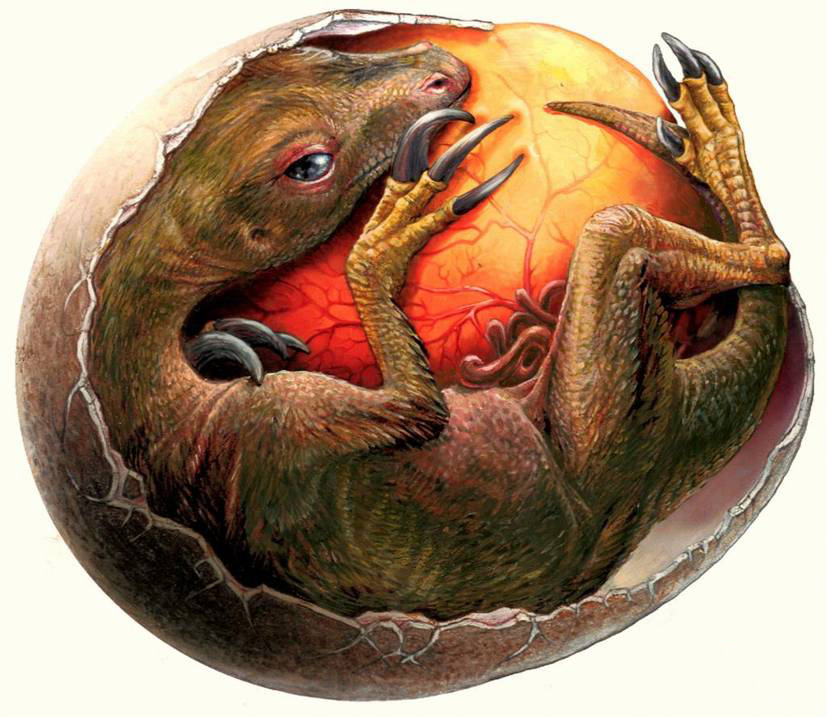 Therizinosaurus cheloniformis Therizinosaurus cheloniformis - AVPH