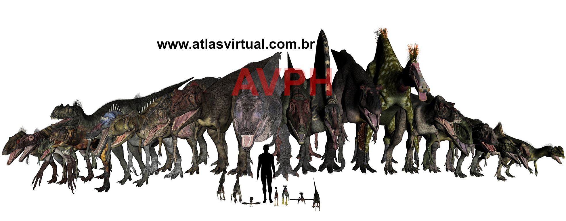 Terópodes - AVPH
