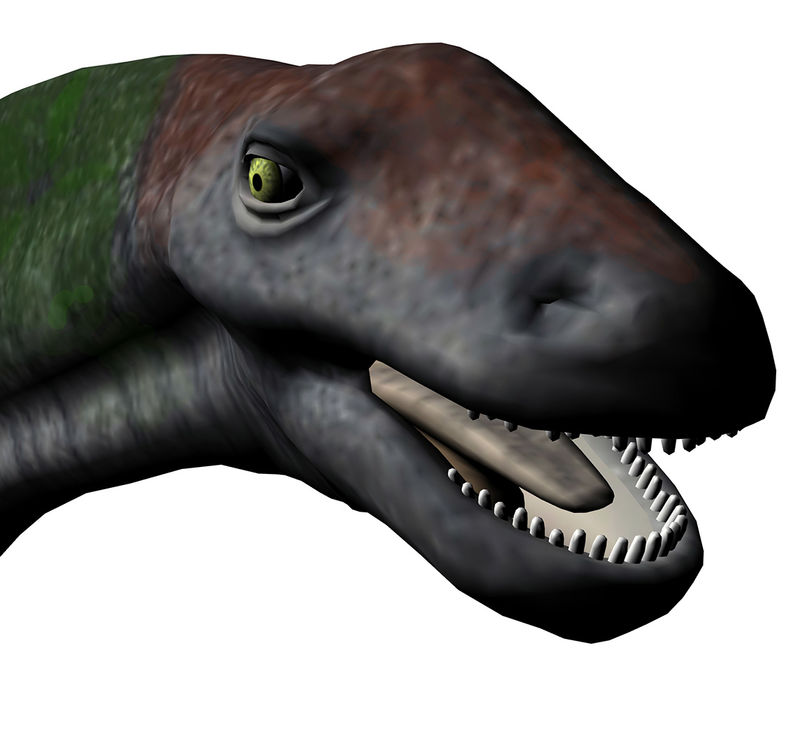 Titanosaurus blanfordi Titanosaurus blanfordi - AVPH