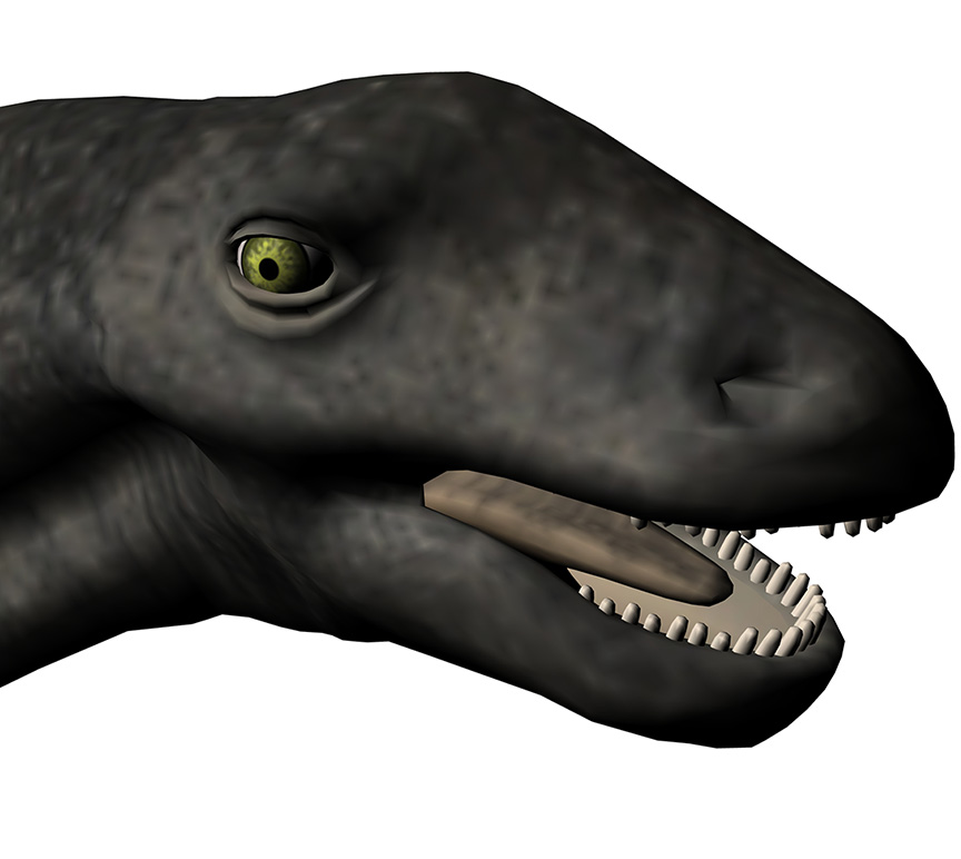 Titanosaurus indicus Titanosaurus indicus - AVPH