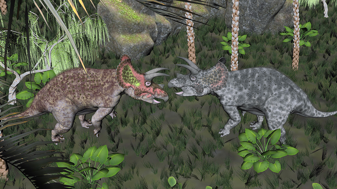Triceratops horridus Triceratops horridus - AVPH