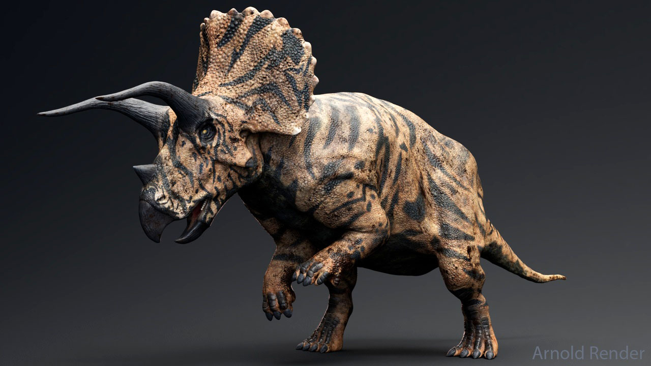 Triceratops horridus Triceratops horridus - AVPH