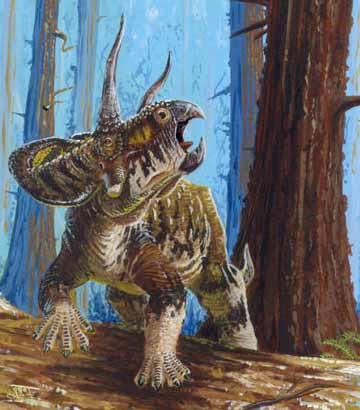 Zuniceratops - AVPH