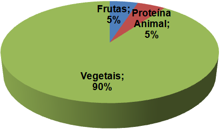 Tartaruga Alimento - Tartarugas AVPH