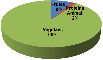 Tartaruga Alimento - Tartarugas AVPH
