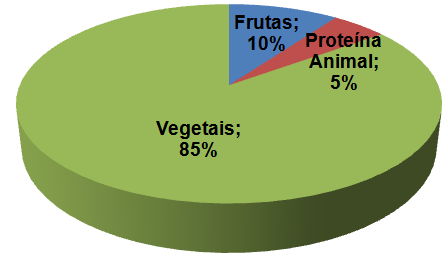 Tartaruga Alimento - Tartarugas AVPH